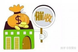 黔南为什么选择专业追讨公司来处理您的债务纠纷？